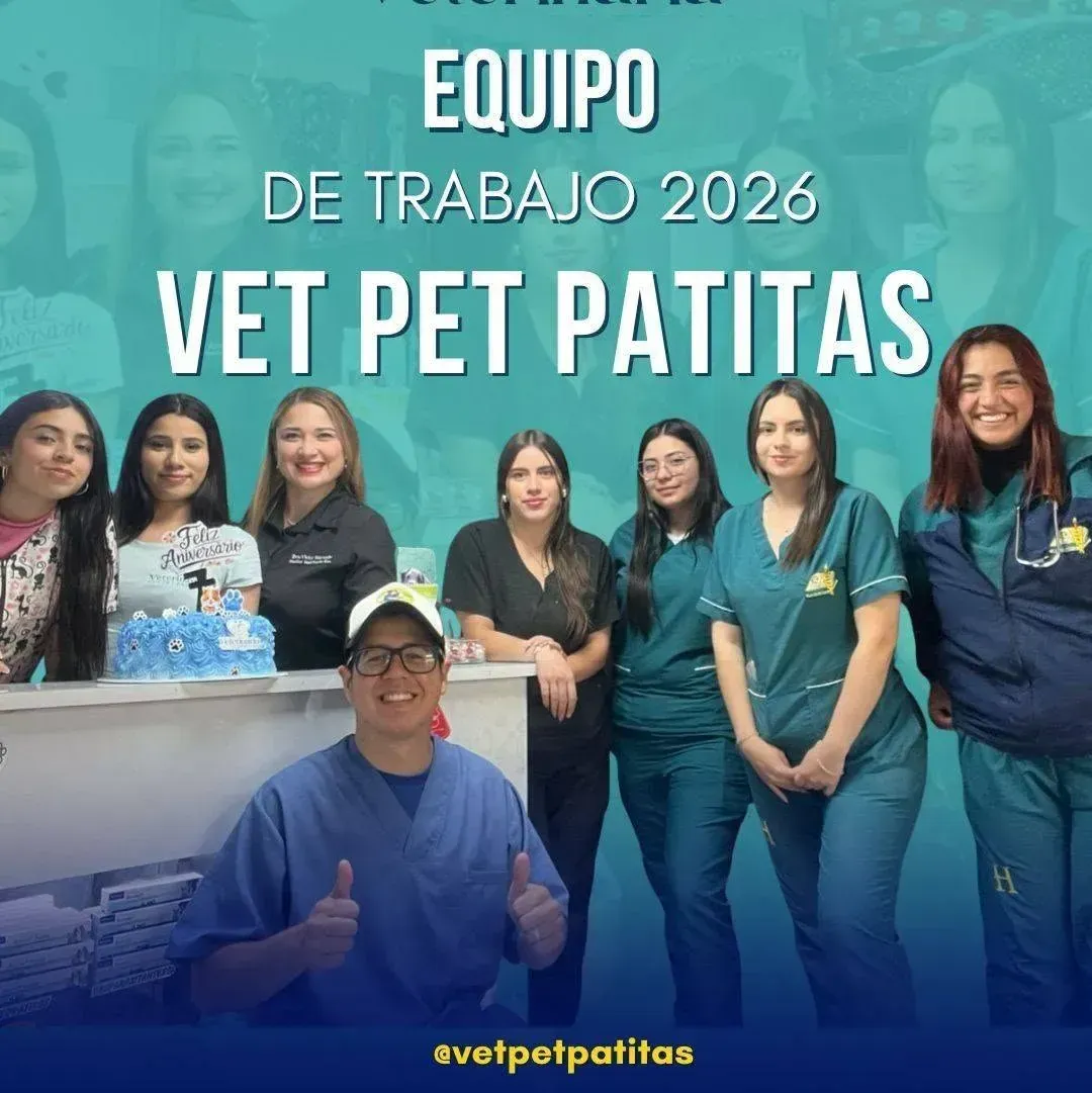 Instalaciones de Vet-Pet Patitas Consultorio Veterinario